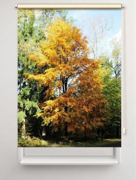 Rollo Heideglück, Rollo, Motivrollo, Rollo mit Druck, Fotorollo, bedrucktes Rollo, Fensterrollo,verdunkelndes Rollo, Sonnenschutz Rollo